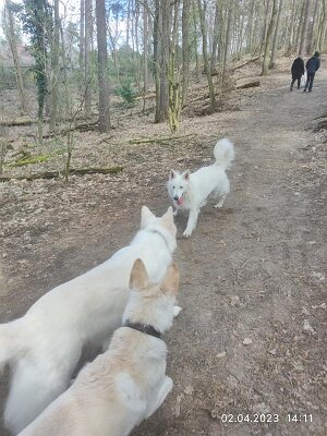 339056068_1361846261264725_6957783521902465188_n