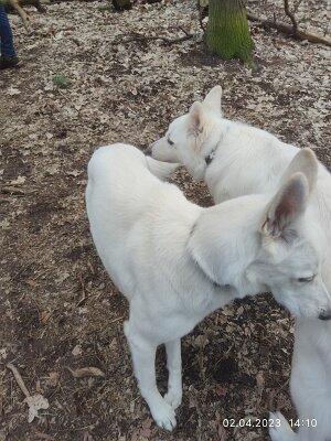 339058013_5640592636044936_592230284307284827_n