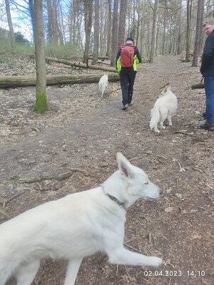 339068519_155904024068106_7601064232346251827_n