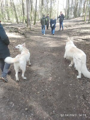 339095088_742357327561562_6489211312552178481_n