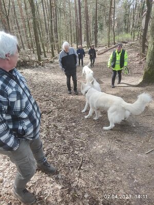 339095134_555576593339686_7440164350684449401_n