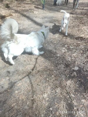 339101189_206953255306122_8807682708251138050_n