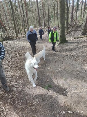 339108064_1302584494008167_1654653899369767947_n