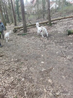 339110585_137991045709151_915779584560691814_n