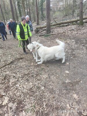 339119652_452609417058210_6724493659227359850_n