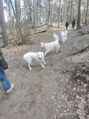 339304897_242112928353661_4041118665552591166_n