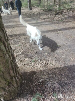 339414625_182507090809247_612062637203123617_n