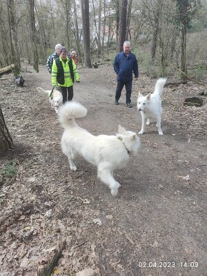 339427109_1915266342140754_5255184339840949072_n