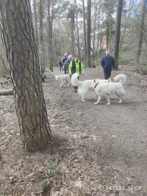 339454765_1255577045070178_479472876041700912_n