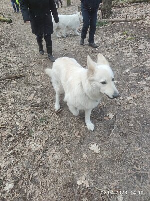 339454844_179529964476236_8687255612709177785_n