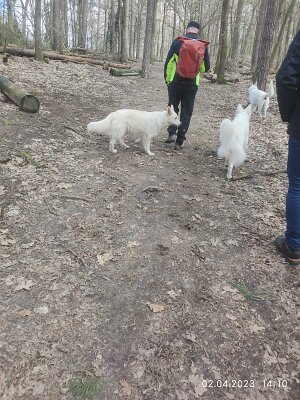 339468146_912093503368324_1698976683145728232_n