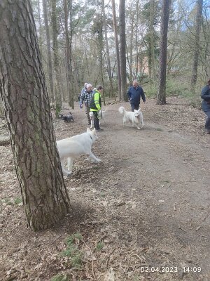 339473272_610820960907468_8984823722211032827_n