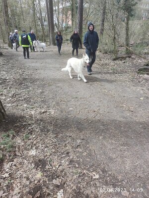 339484236_919249362614788_7407170159690713041_n