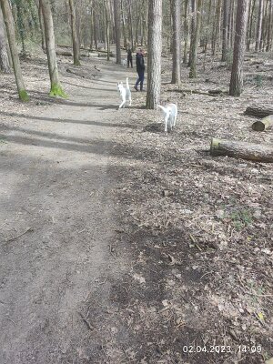 339640147_239555801969703_4486977683207510978_n