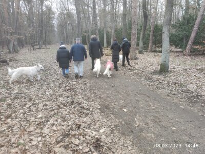 330286050_663875402206751_2799722724007713719_n