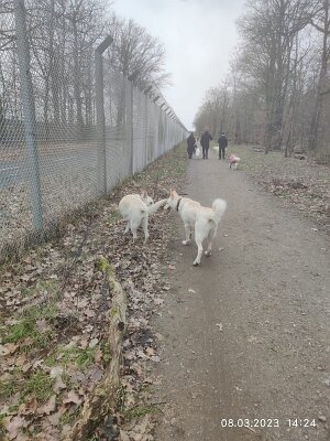 330286455_873512503734722_7365346933796187168_n