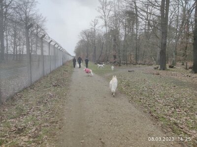 330297232_152608810676135_6041598454826922116_n