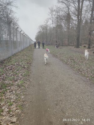 330302669_530705299187415_7888833451239142457_n