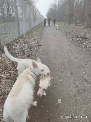 330304334_1187658831952969_263544753466572318_n