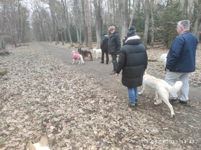 330324477_1360896334452424_5793303878555101026_n