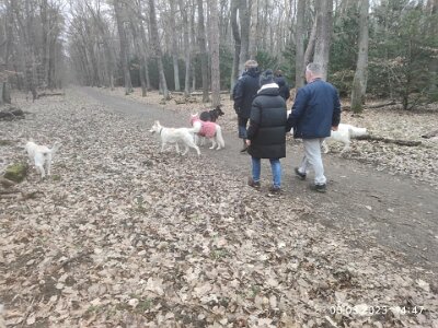 330403444_741800524219262_900404051011424853_n