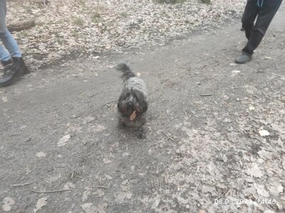 330475215_3214531245503967_2748847927230248408_n