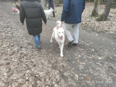 331495821_580812944077756_8615641856508872486_n