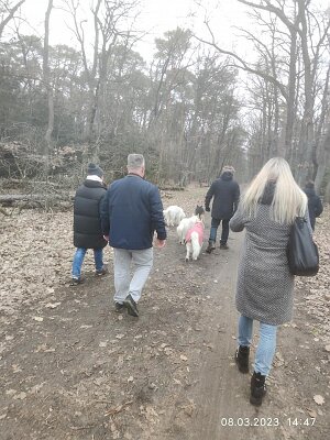 331723307_161315553392506_3394198458213735195_n