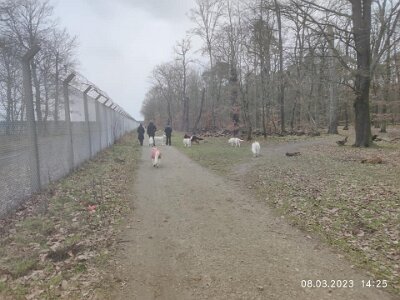 331802567_745180260301407_305180070926263418_n