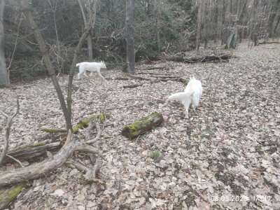 334300521_952514679249857_2499368659477522898_n