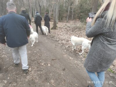 334300588_1473053820167975_3141374038353582381_n