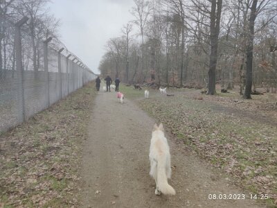 335183572_165862356305946_1904788731157921_n