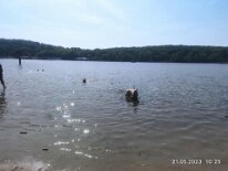 348281515_9289883664415419_6062681581980245306_n