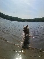 348452049_1312690969681523_6505483949935198104_n