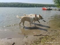 348562986_959243822060041_1354124580206858757_n