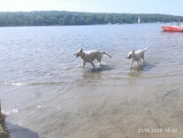 348563336_618079063684408_3544636519561926979_n