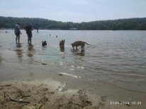 348567410_1389398981916643_2671704967637072648_n