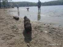 348568072_970321977326350_4937854877927988260_n