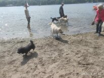 348568541_2558104991017975_1271769606253410270_n