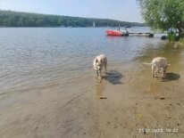 348570086_1626091351225612_2297348787596810723_n