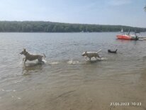 348572157_963312108352901_573883980085124402_n