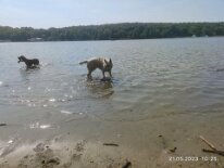 348574093_6444046705688935_1888680011228208532_n