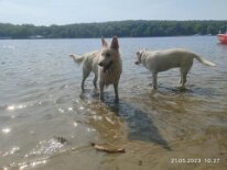 348577300_918656122763935_3029388465490420659_n