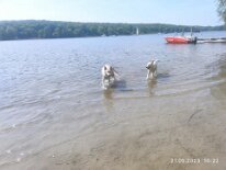 348577753_805203324277238_7138618098639214573_n