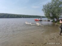 348599019_1466899130736033_6808650969882428199_n