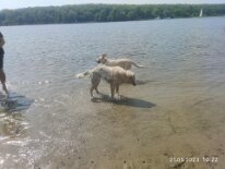 348599650_240561175261343_3809536088293445689_n