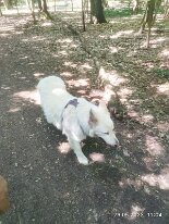 345474975_6382657231819392_6343819899413449343_n