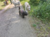 346643011_641026954540270_3931216117102550999_n