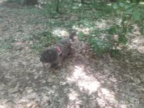 346828033_921234052511261_332988298297519083_n