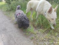 346843696_960925821884323_7213556025119833115_n